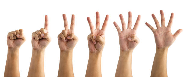 collection of numbering since zero one two three four and five of hand on white background. isolated and clipping path. -image. - hand sign index finger human finger human thumb imagens e fotografias de stock