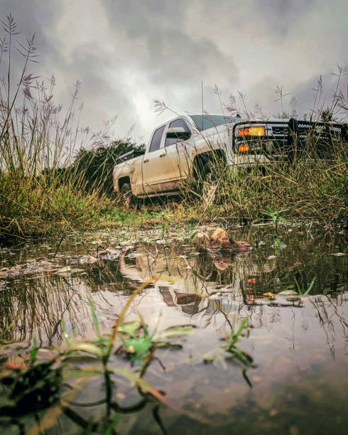 istock Off-Road Truck 1134576212