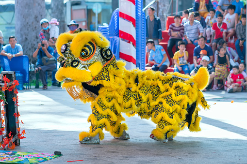 Ho Chi Minh City, Vietnam - December 30, 2018: Members of the Practitioners Monastery perform a lion dance to pray, safety and luck in lunar new year at the Festival at the Van Lang Park in District 5, Ho Chi Minh city, Vietnam