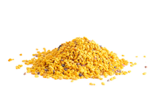 A Pile of Pellets of Yellow Bee Pollen stock photo