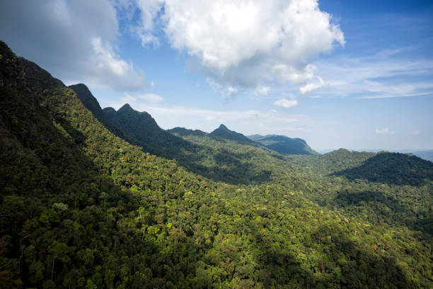 istock Rainforest Machincang mountain of Langkawi Island, Malaysia 1134577295