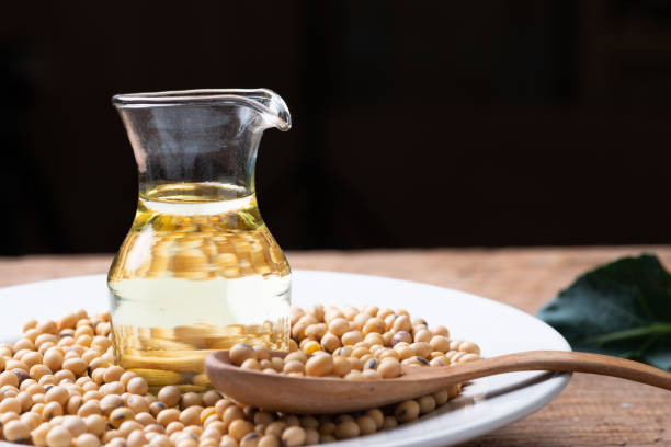 istock Soy bean and soy oil on  table 1134579025