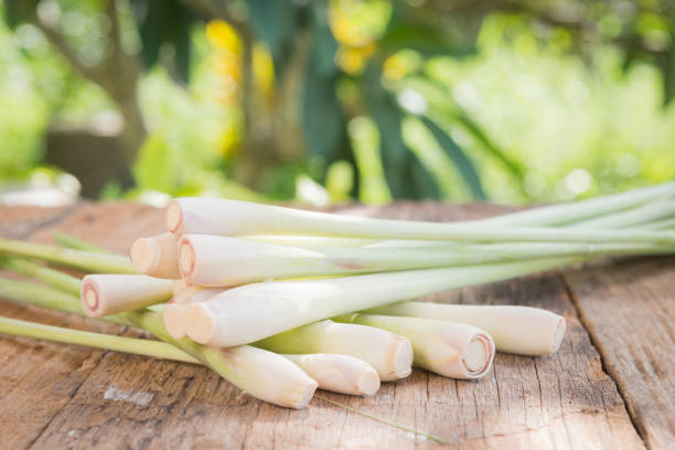 istock Fresh lemon grass on wood background 1134579077
