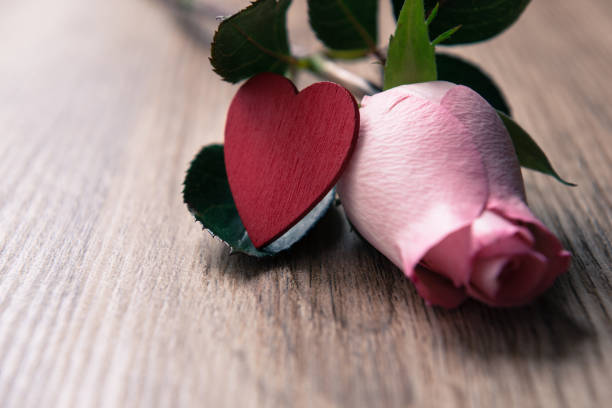 istock Pink Rose on wooden background 1134579221