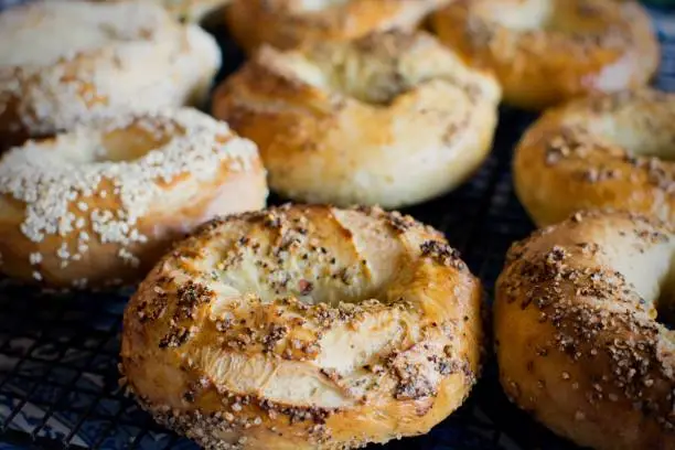 Photo of Montreal style bagels