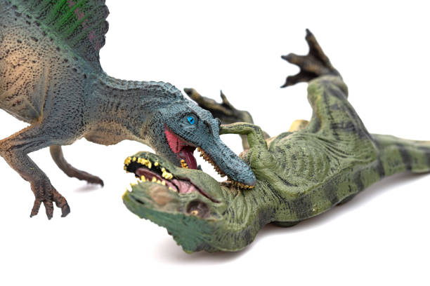 istock spinosaurus biting tyrannosaurus on a white background 1134588024