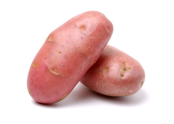 흰색 배경에 고립 된 새로운 빨간 감자 - new potato raw potato freshness organic 뉴스 사진 이미지
