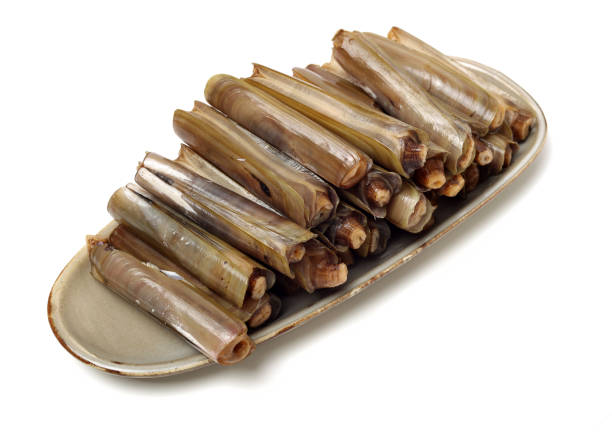 istock Razor clams isolated on white background. 1134588874
