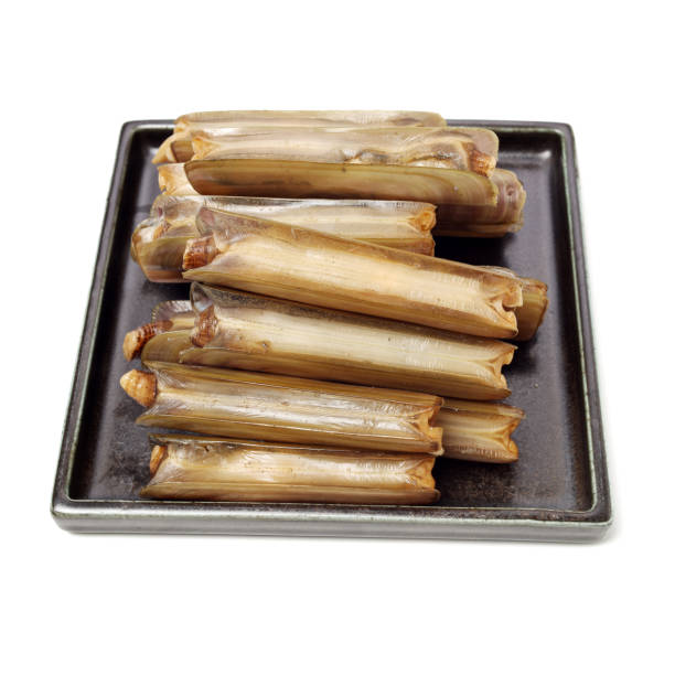 istock Razor clams isolated on white background. 1134588892