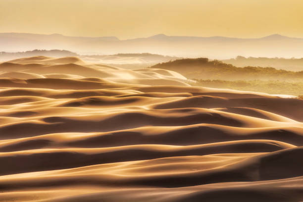 dunes set tele woods 2 ouest - port stephens new south wales australia coastline photos et images de collection