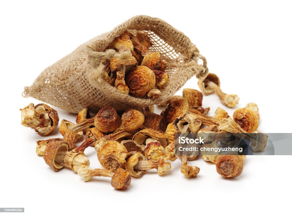 dried mushroom on white background Agaricus Stock Photo