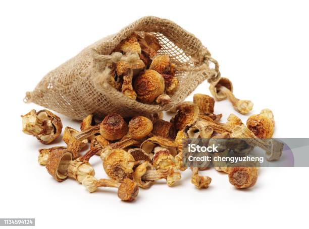 Dried Mushroom On White Background Stock Photo - Download Image Now - Agaricus, Bag, Basidiomycota