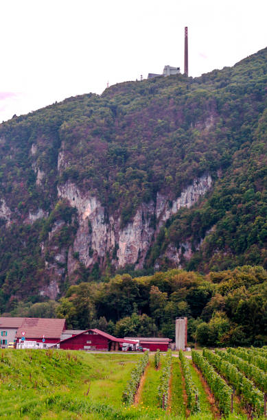 góry w szwajcarii - lake thun swiss culture berne castle zdjęcia i obrazy z banku zdjęć