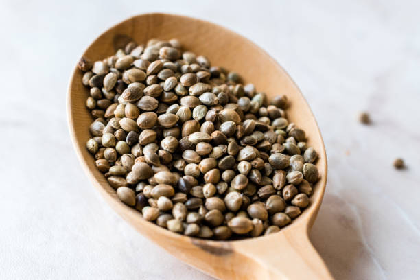 istock Organic Roasted Hemp Seeds in Wooden Spoon. 1134599332