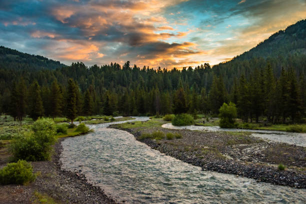 istock Sunrise at Pebble creek in Lamar Valley Yellowstone 1134600885
