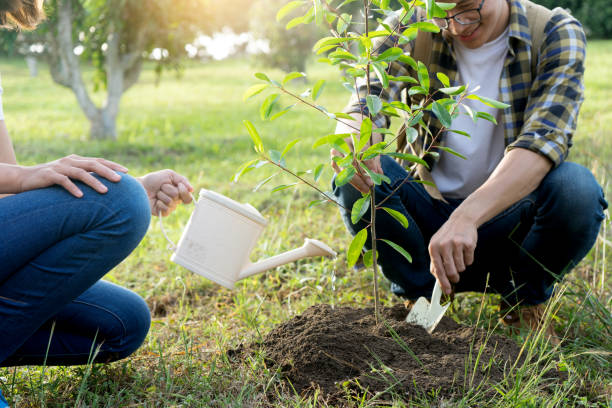 istock young man and woman plant a tree 1134601281