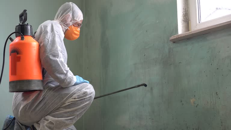 Mold Removal Services. Assessment, Contamination Control, Removal, Cleaning and Disinfecting, and Moisture Control