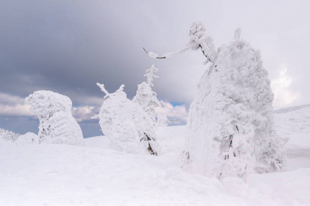istock snow monster on Mt.Zao 1134602620