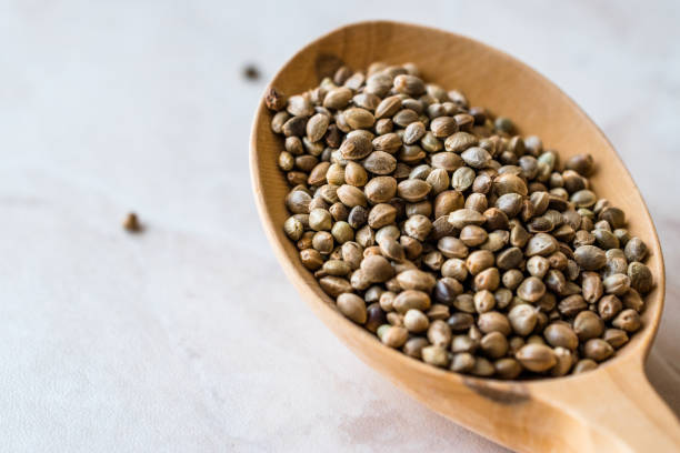 istock Organic Roasted Hemp Seeds in Wooden Spoon. 1134603402