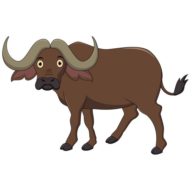 ilustracja cute african buffalo - ox tail stock illustrations