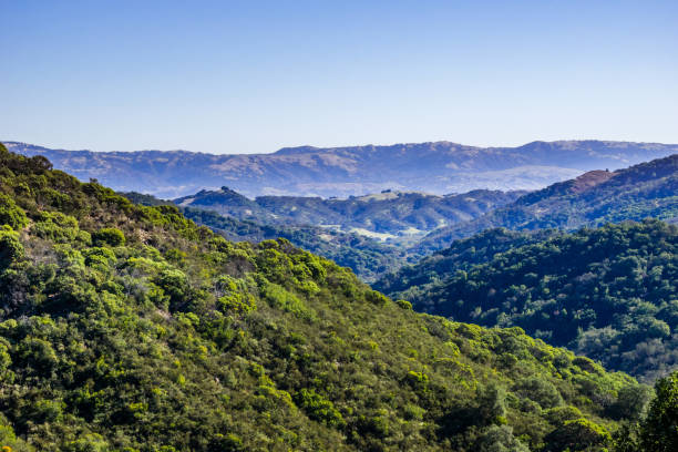 green hills im calero county park, santa cruz mountains, südlich der bucht von san francisco, kalifornien - süd kalifornien stock-fotos und bilder