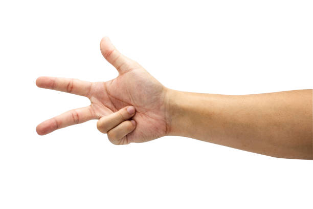 istock Count numeric of three symbol from hand. Isolated on white background with clipping path concept.Image. 1134605709