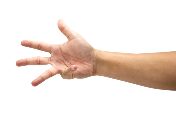 istock Count numeric of six symbol from hand. Isolated on white background with clipping path concept.Image. 1134606346