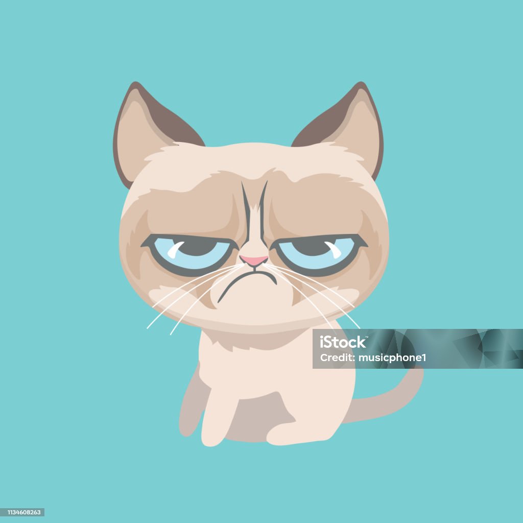 Cute Grumpy Cat Vector Illustration Stock Illustration - Download Image Now  - Domestic Cat, Anger, Humor - iStock