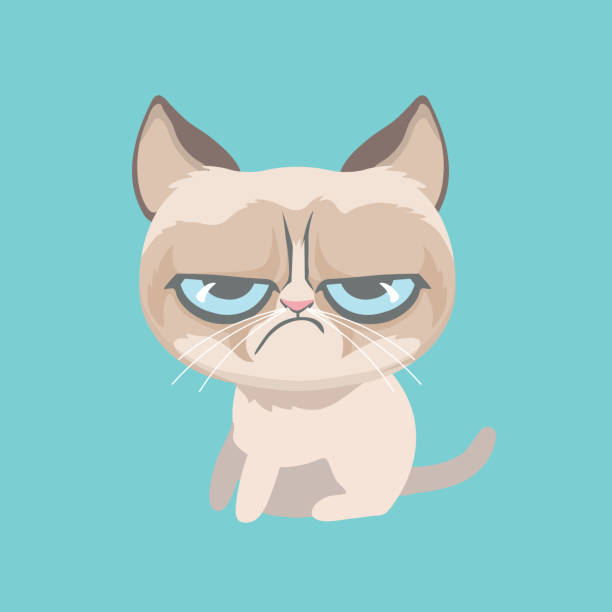 Cute grumpy cat. Vector Illustration. Cute grumpy cat. Vector Illustration. fat ugly face stock illustrations