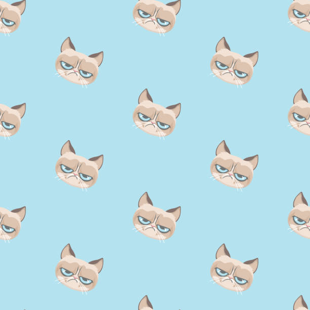 Vector grumpy cat pattern. Vector grumpy cat pattern. fat ugly face stock illustrations