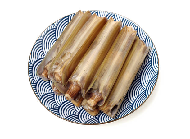 istock Razor clams isolated on white background. 1134608334