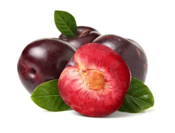 Plums on white background Plums on white background plum red white purple stock pictures, royalty-free photos & images