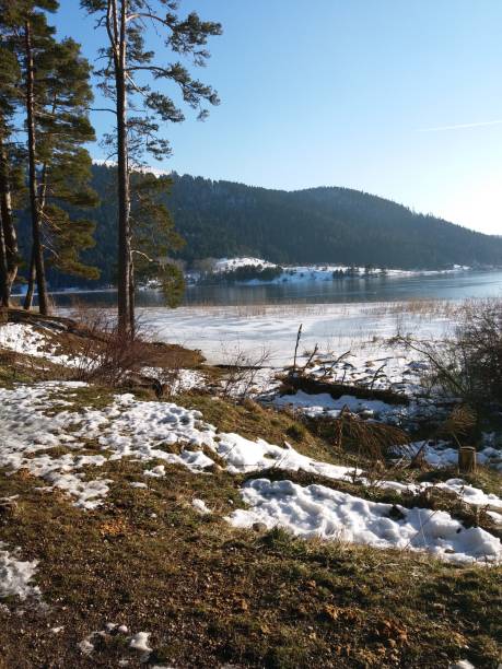 istock Bolu winter snow trees 1134616562