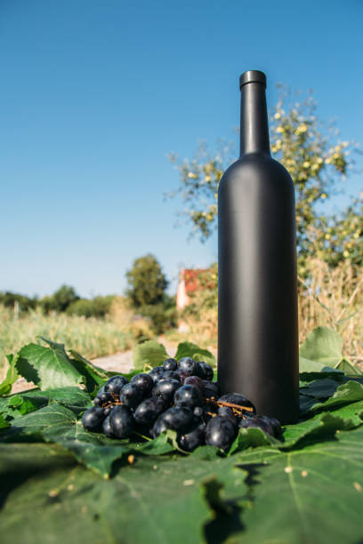 istock a black bottle stands on green, grape leaves, next to it is a black grape, a bunch. on the road in the village. the back garden and the house are seen. natural production. Home wine. 1134621380