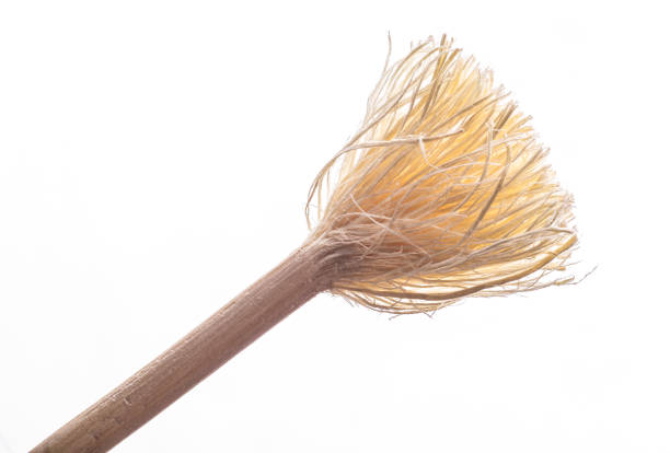 Scrubbing brushes