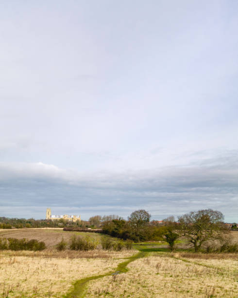 istock Agricultural landscape with minster on horizon in spring, Beverley, UK. 1134624428