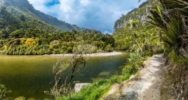 Porarari river track near Punakaiki on the West Coast, South Island, New Zealand