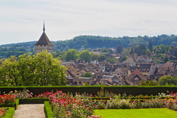 istock Schaffhausen, Switzerland 1134627928