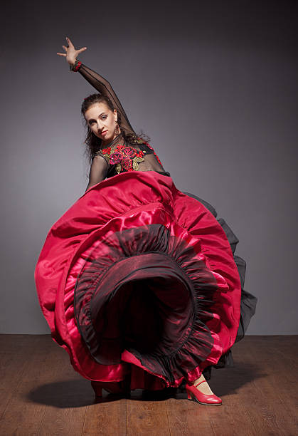 istock Flamenco dancer in beautiful dress 113462842