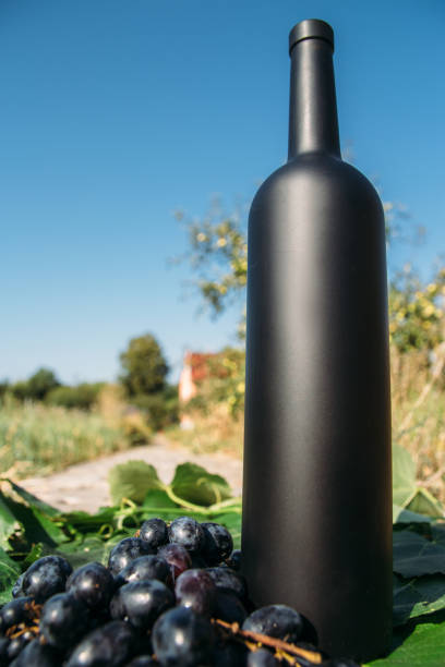 istock a black bottle stands on green, grape leaves, next to it is a black grape, a bunch. on the road in the village. the back garden and the house are seen. natural production. Home wine. 1134632382