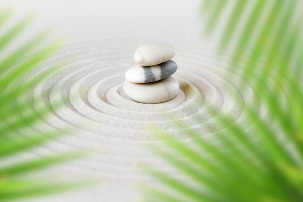 istock Zen natural japanese garden background 1134638725