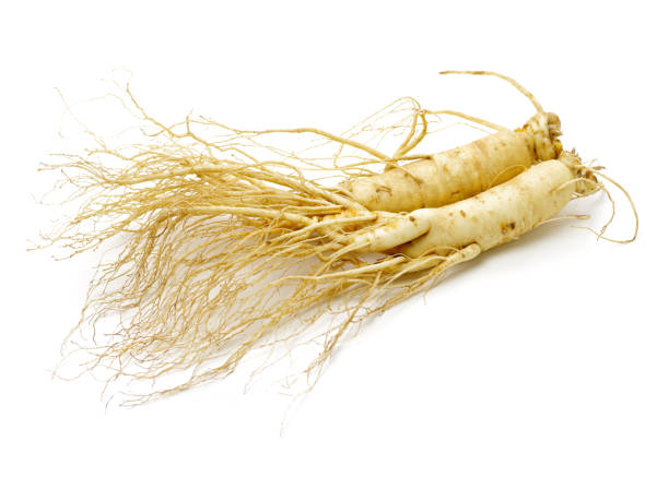 ginseng isolated on white background - 11193 imagens e fotografias de stock