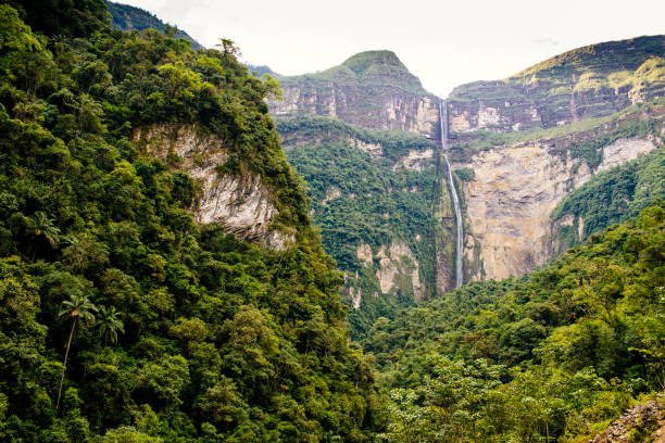 Rainforest around the Gocta Waterfall in nothern peru stock photo