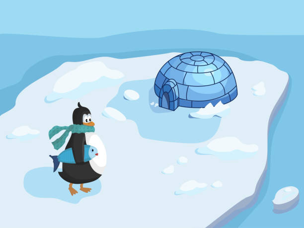 ilustrações de stock, clip art, desenhos animados e ícones de penguin with fish on the island with house vector illustration - iceberg banner animal bird