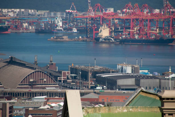 istock A View of Durban Central 1134651894