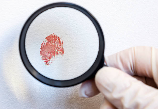 blood fingerprint through magnifying glass in hand of a forensic expert, crime scene. close-up, selective focus. - fingerprint thumbprint identity red imagens e fotografias de stock