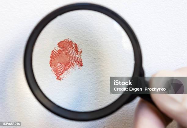 Blood Fingerprint Through Magnifying Glass In Hand Of A Forensic Expert Crime Scene Closeup Selective Focus Stock Photo - Download Image Now