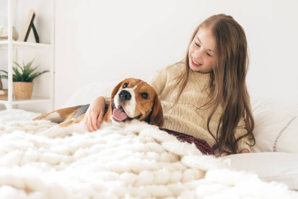 little girl with dog lying on bed and laughing - blond hair carrying little girls small imagens e fotografias de stock