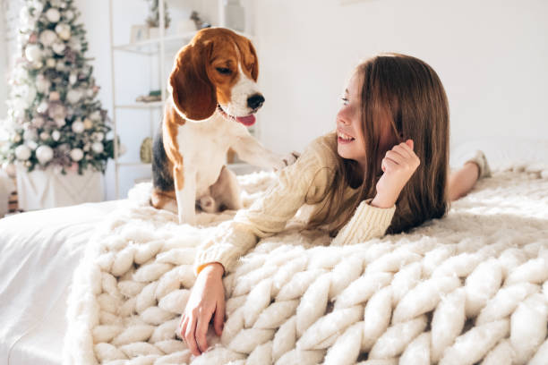 little girl with dog lying on bed and laughing - blond hair carrying little girls small imagens e fotografias de stock