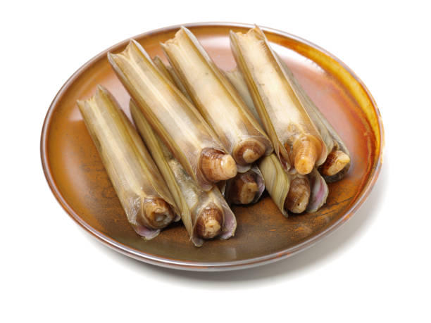 Razor clams isolated on white background.